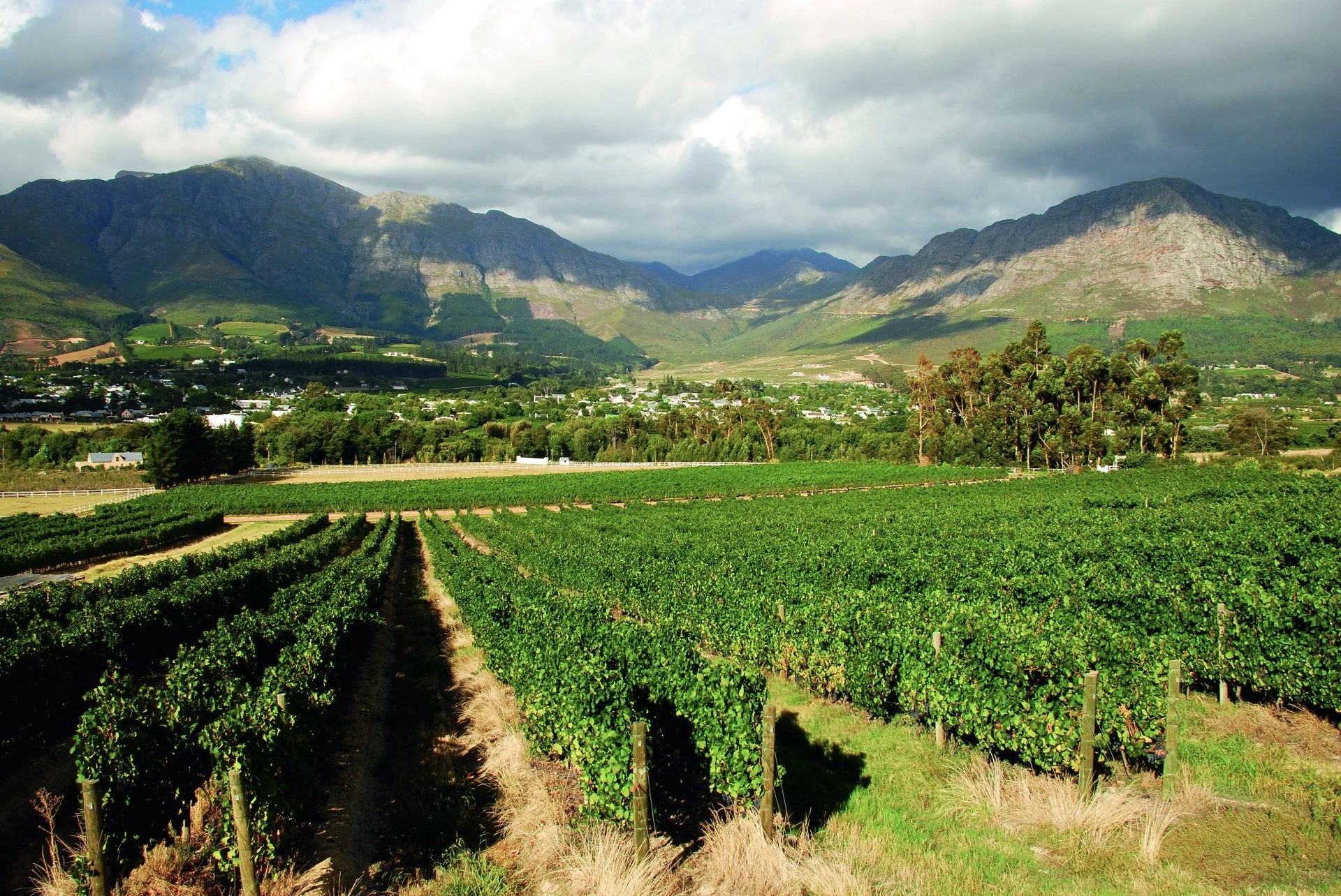 Safaris et Vignobles d'Afrique du Sud