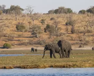 Extension Caprivi, Chobe et Chutes Victoria