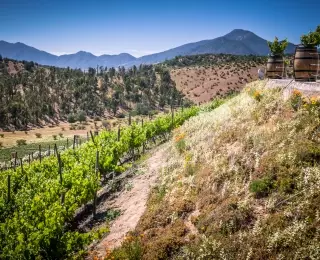 Vignoble de la vallée de Casablanca et Valparaiso