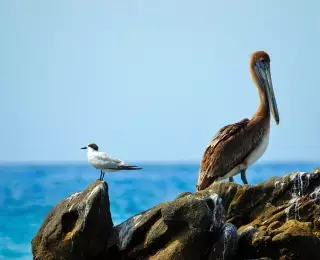 Découverte du Mexique Inconnu de Mexico à Oaxaca : Mexique