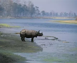 Découverte du Parc National de Chitwan