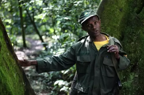 Ranger dans le Parc national de Kibale - Ouganda