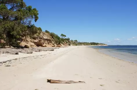 Baudin Beach_Kangaroo island_Australie - 