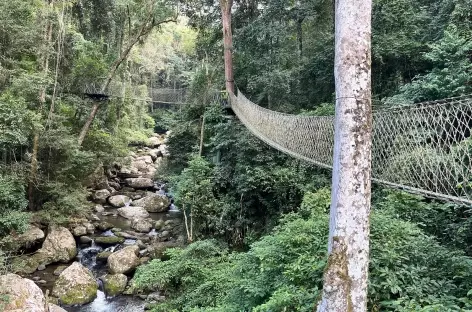 Luang Prabang, train > Oudomxay. Balade > Parc naturel du Namkat YorLaPa