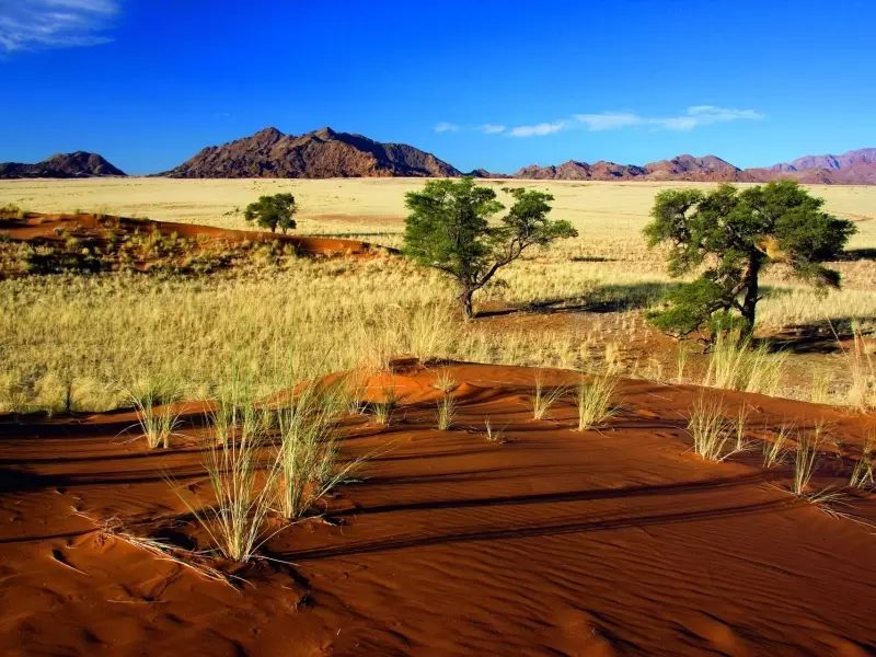 Dunes d'Elim à Sesriem - Namibie, &copy; Julien Erster - TIRAWA 