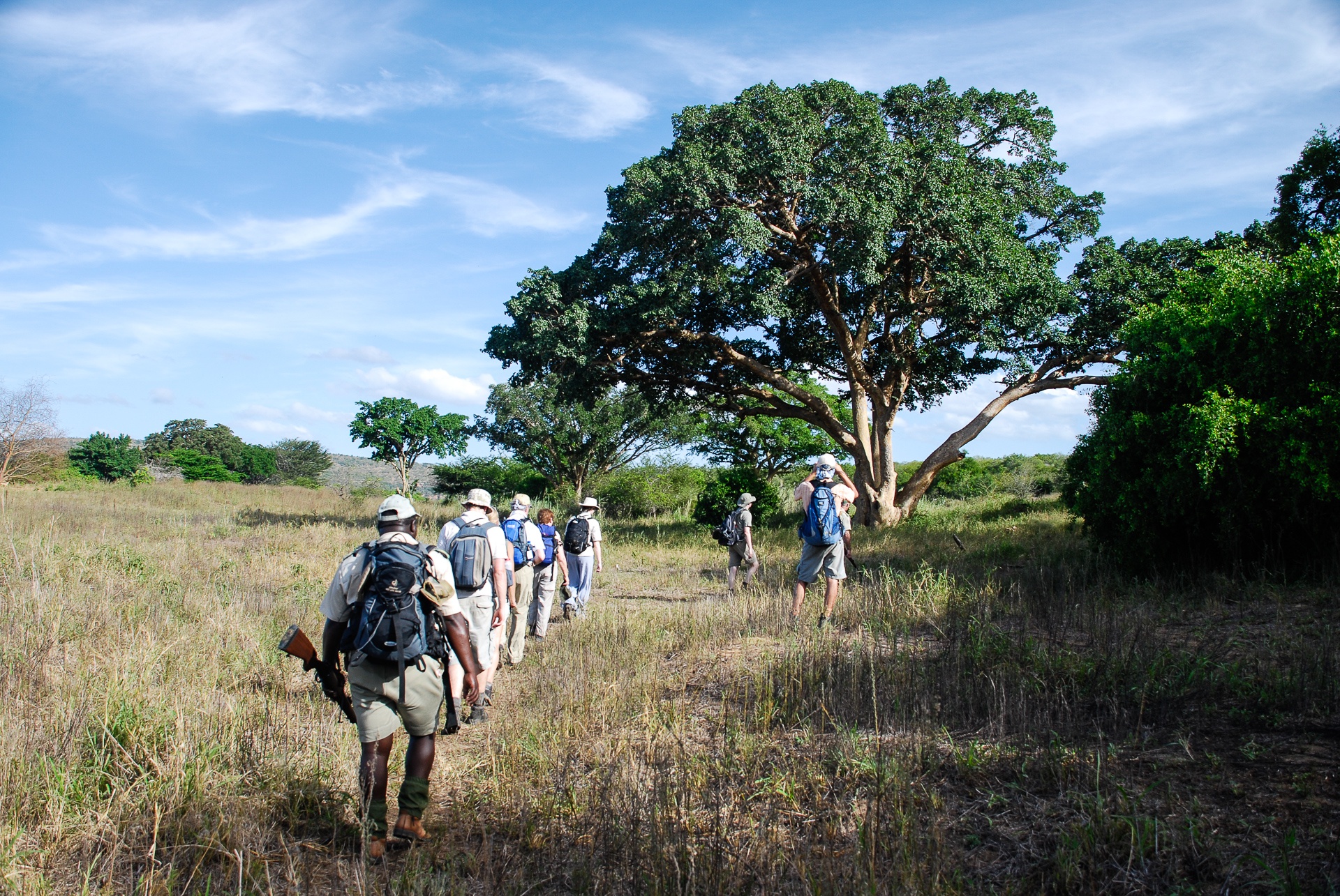 Safari_Kruger