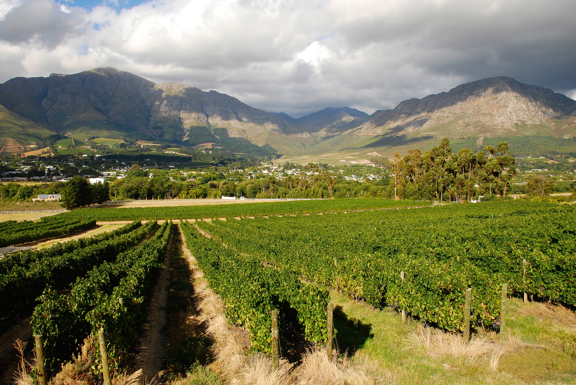 Vignobles de Franshhoek