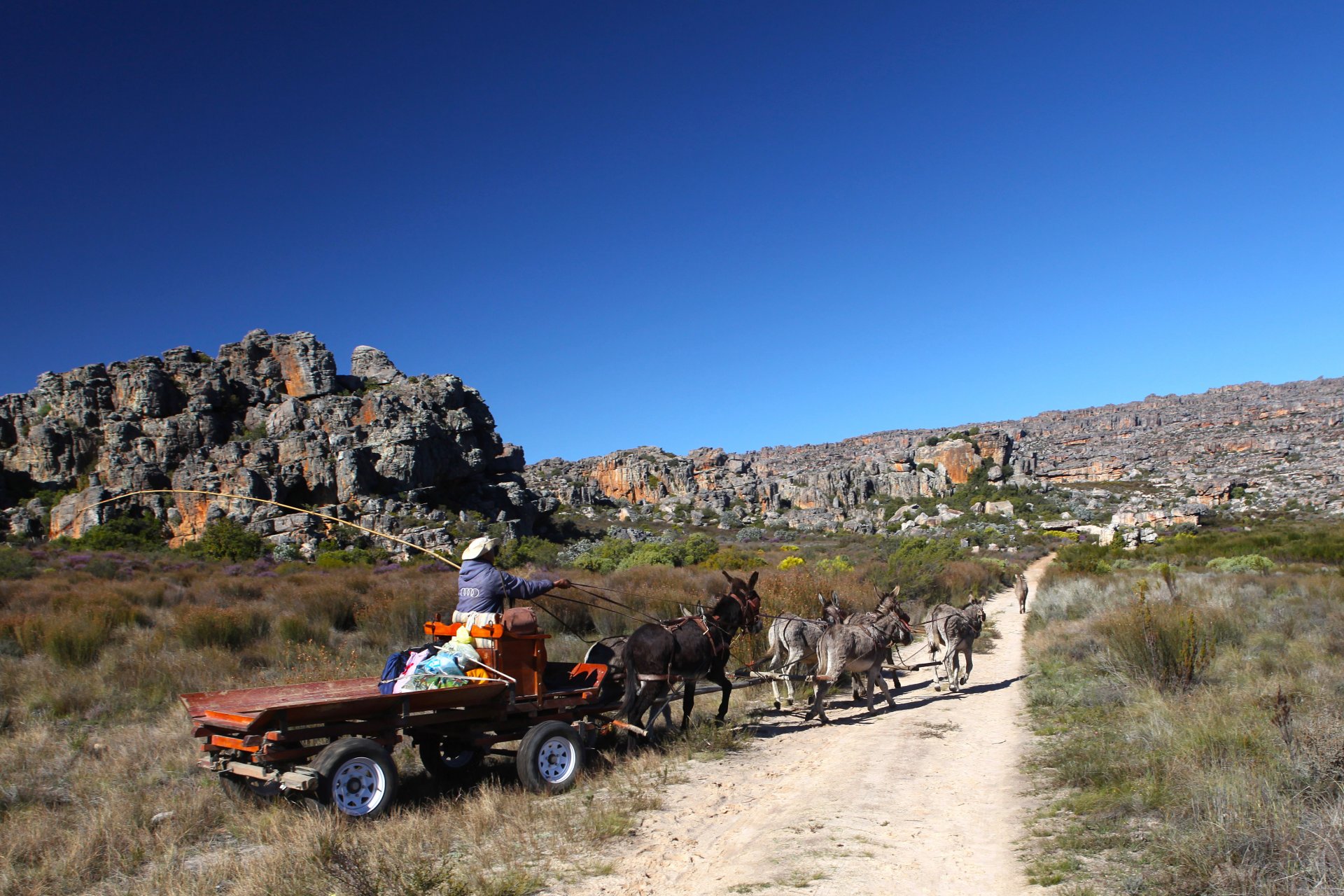 cederberg_afrique_du_sud