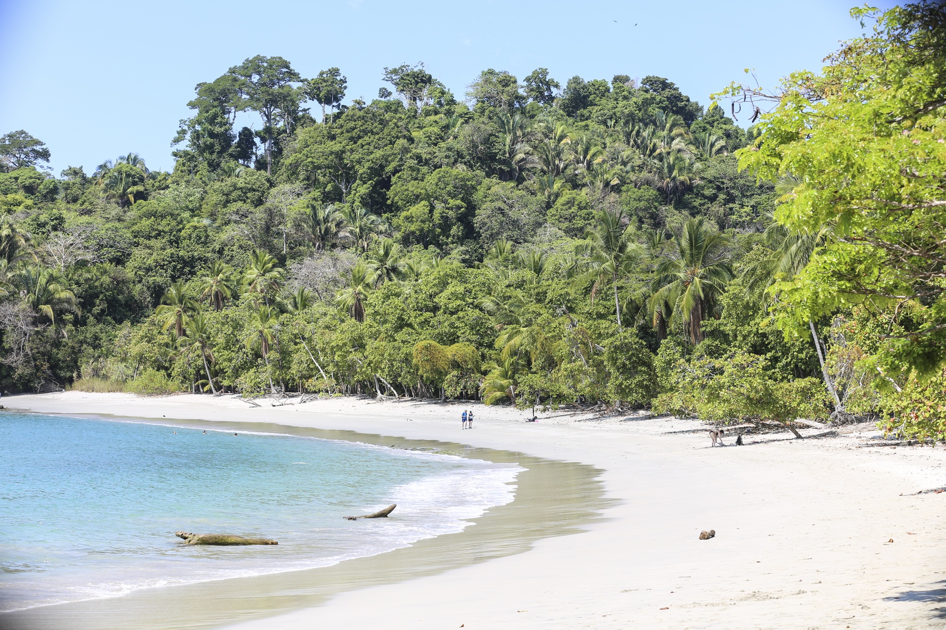 Balade sur les plages du parc national Manuel Antonio_Costa Rica
