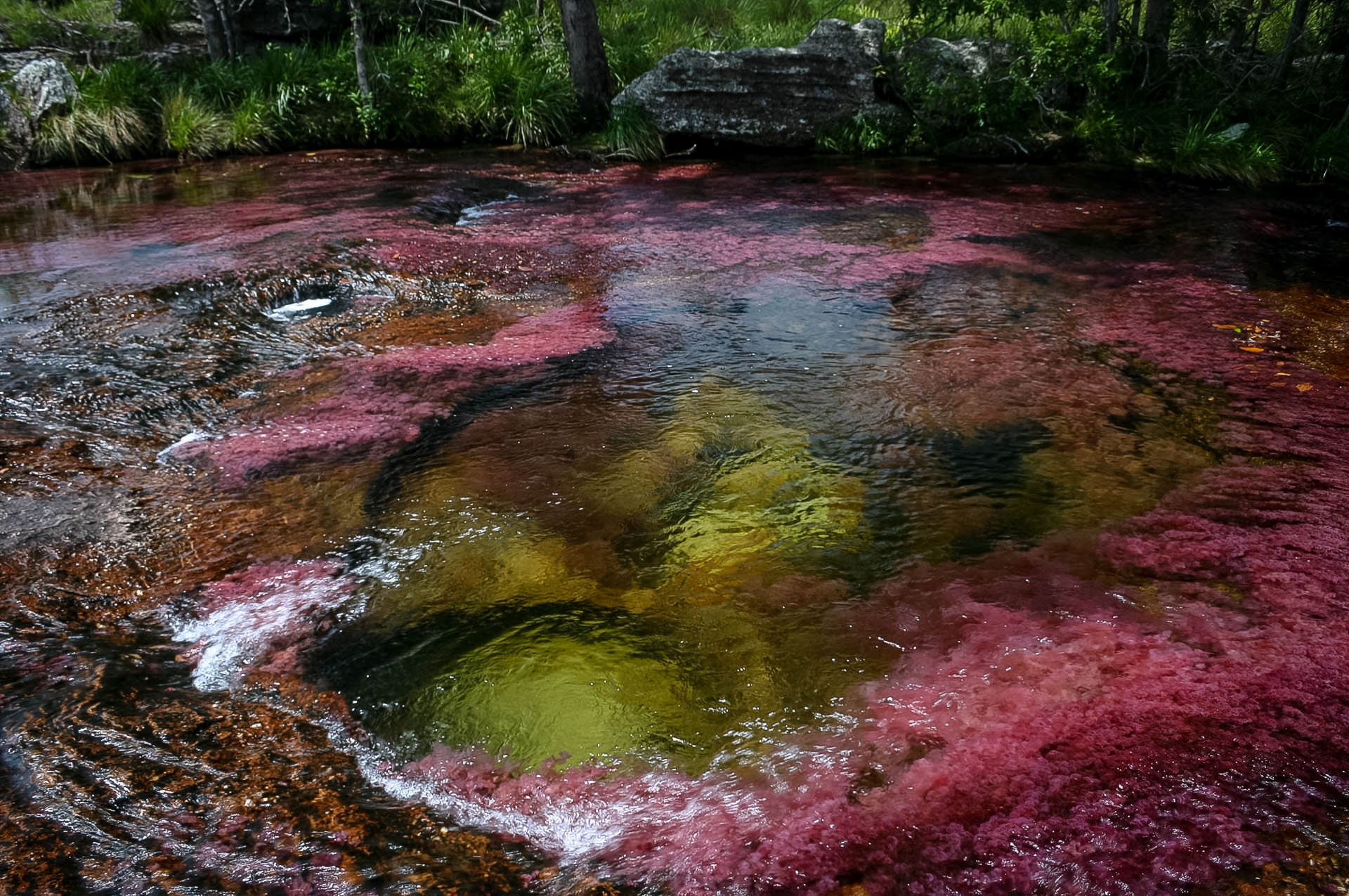 cano Cristales