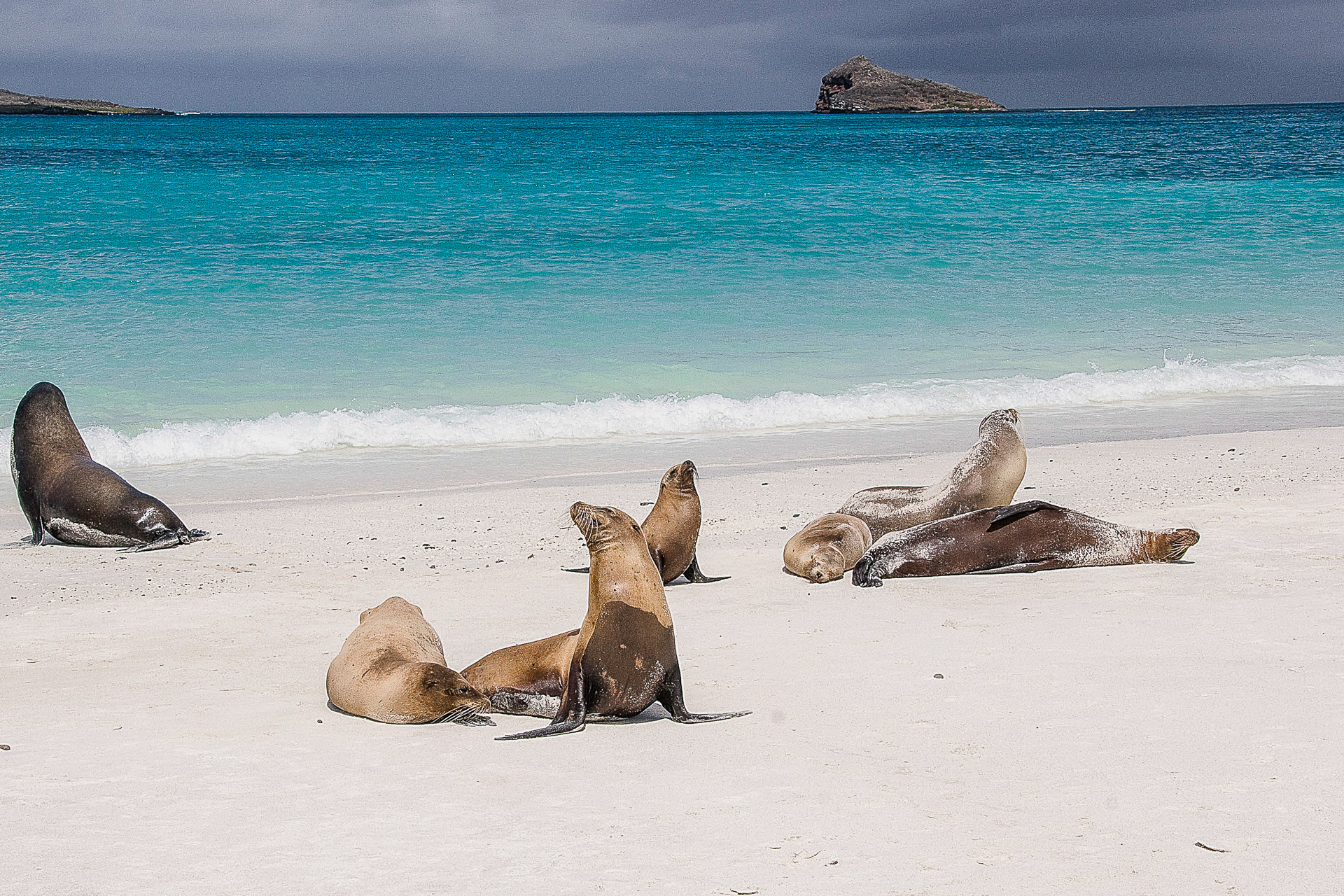 Galapagos