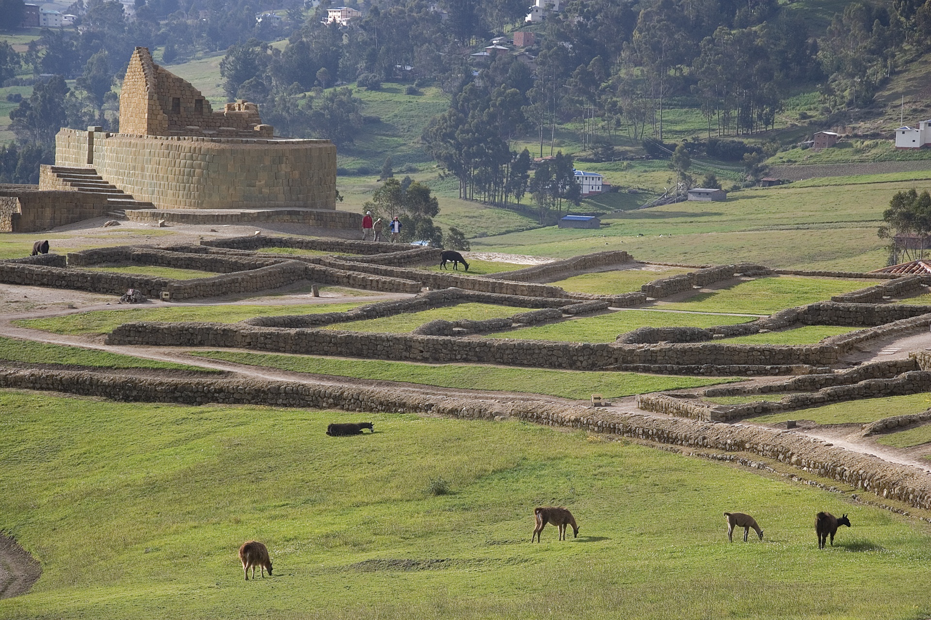 Ingapirca_Equateur