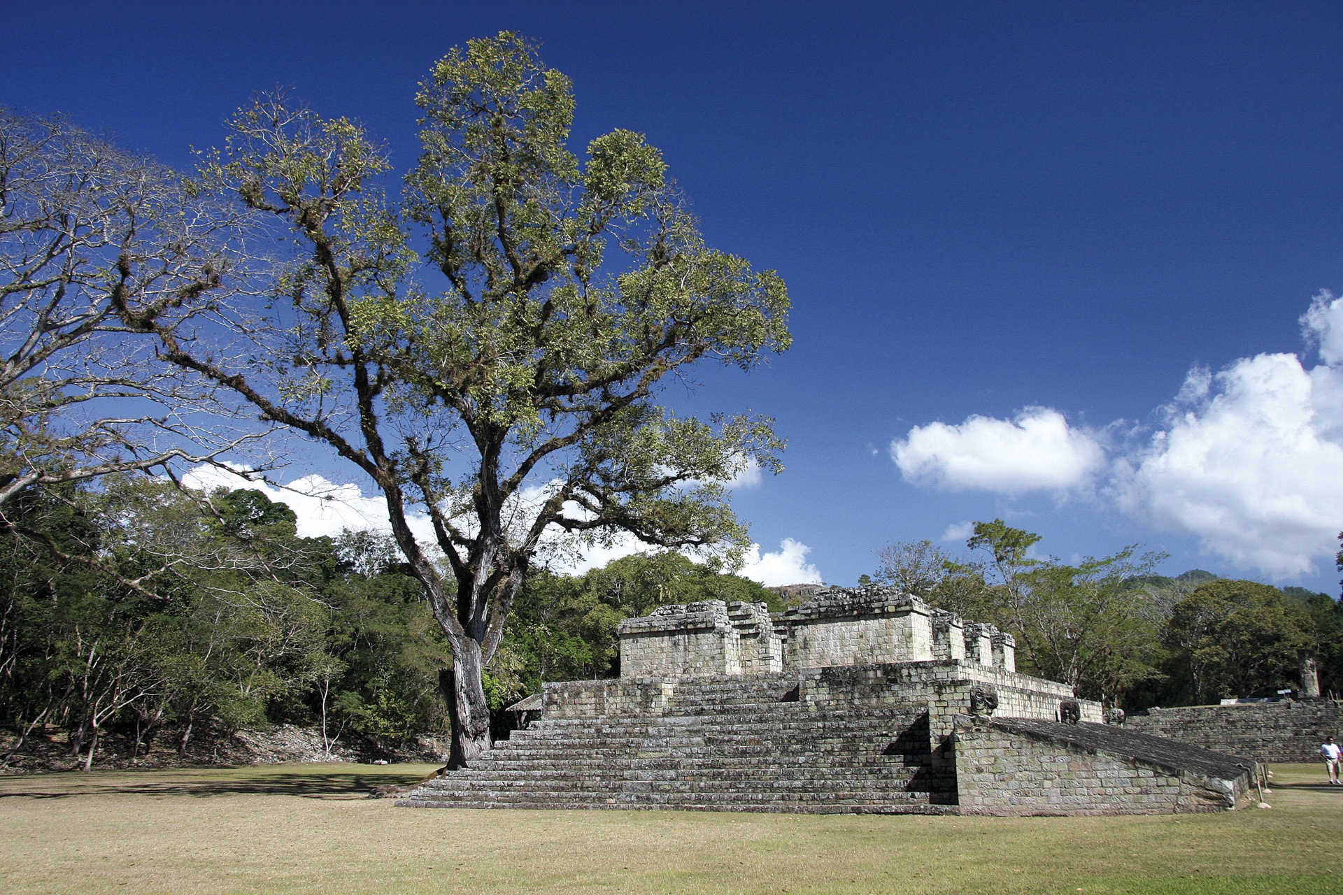 Copan