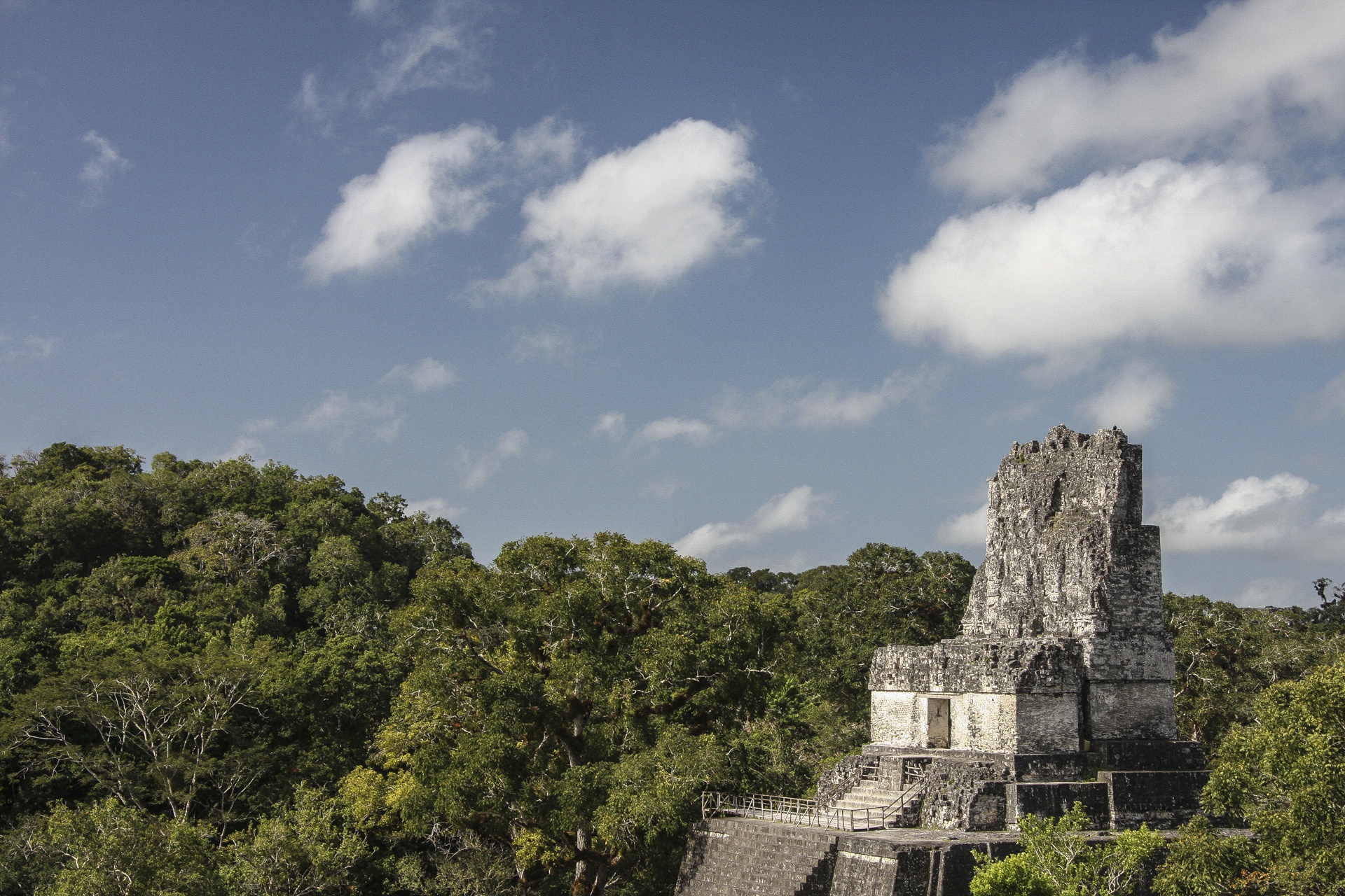 tikal