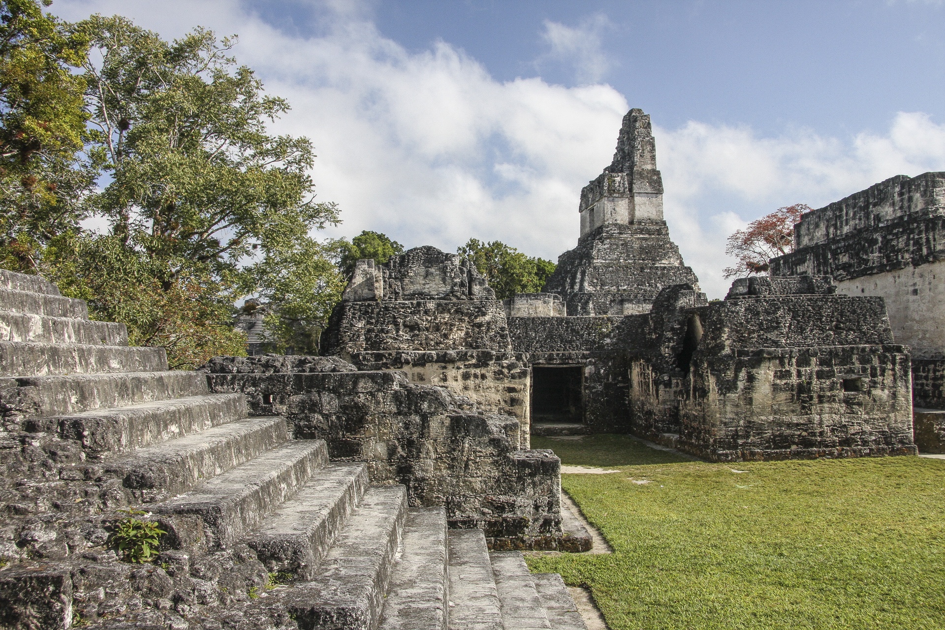 Tikal cité maya