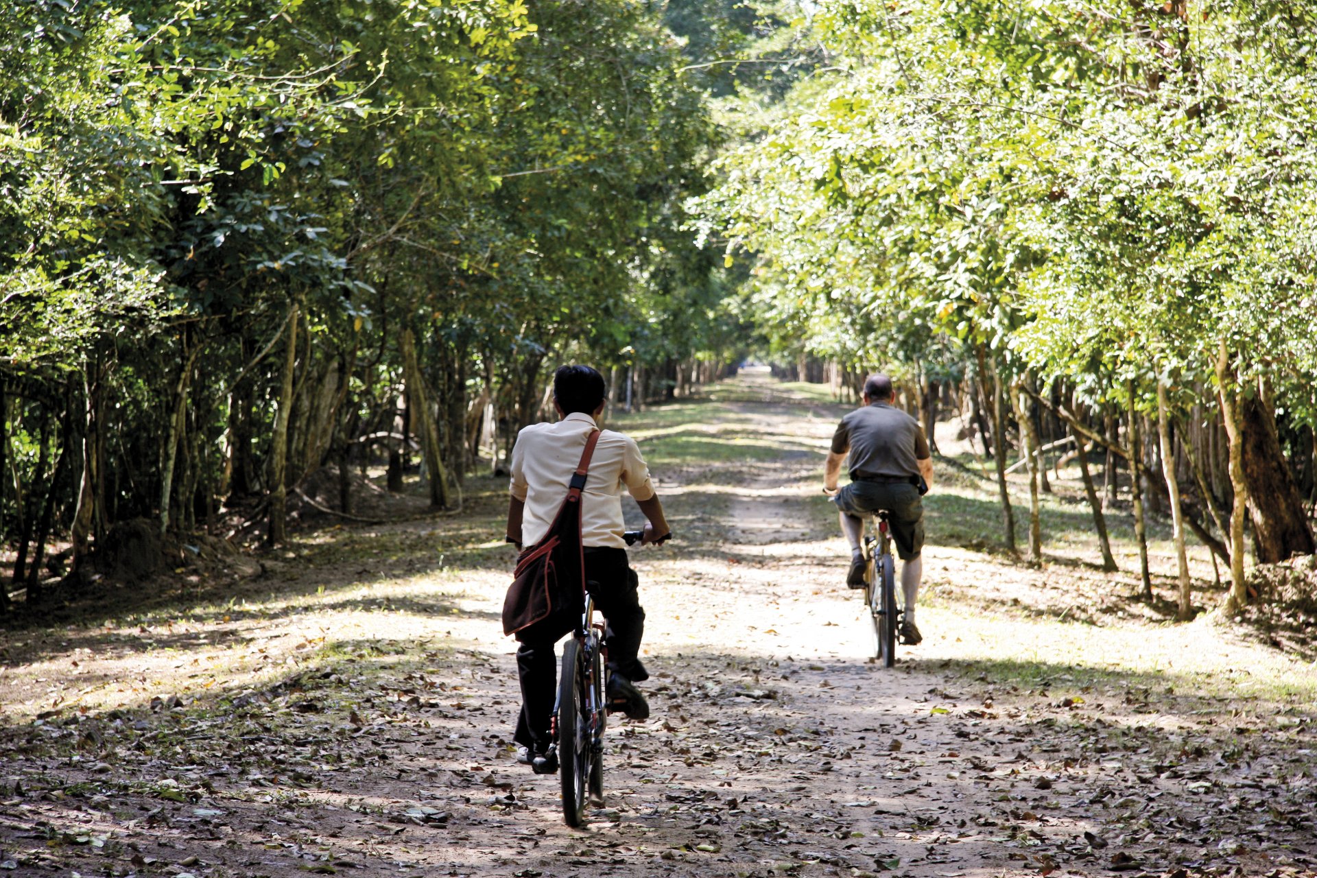 Balade en vélo