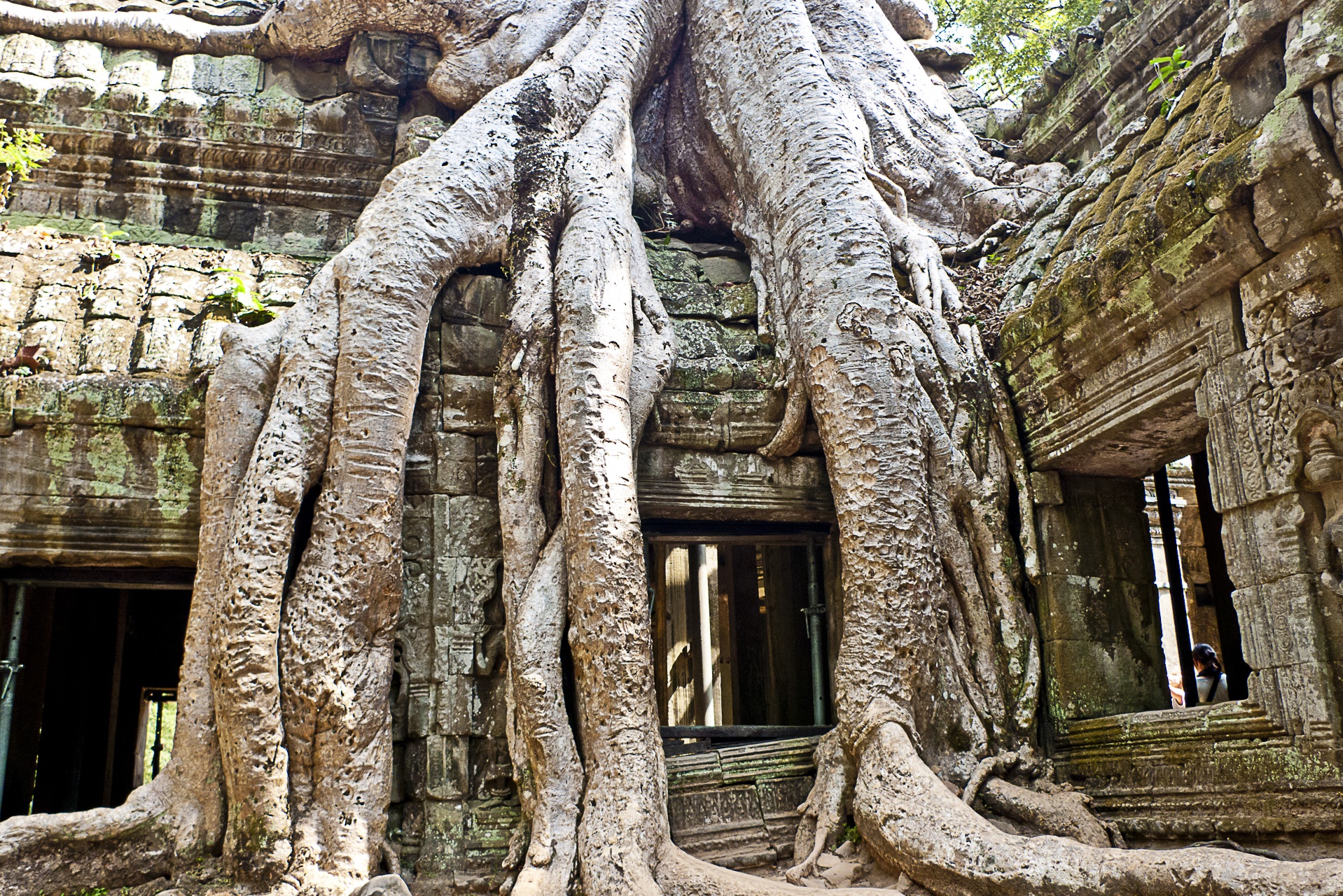 Ta Prohm