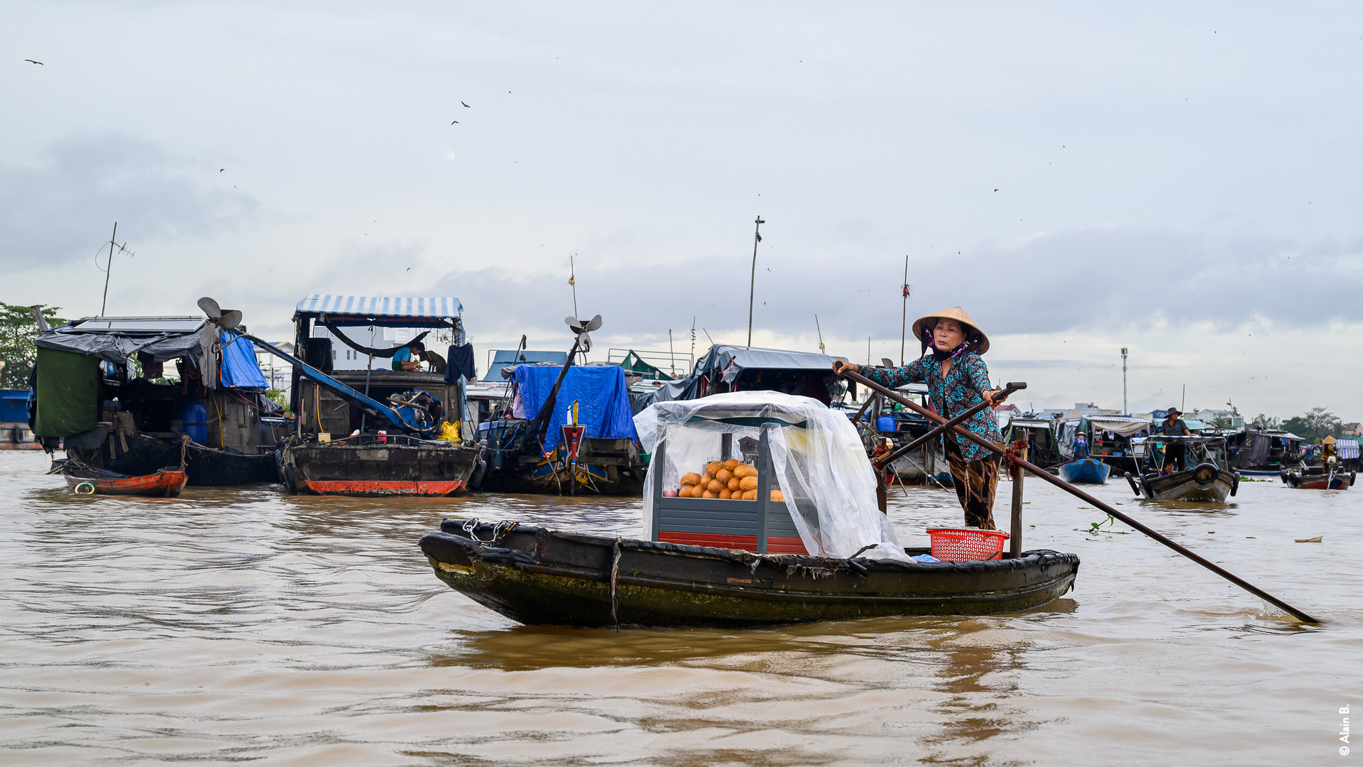 Delta du mekong