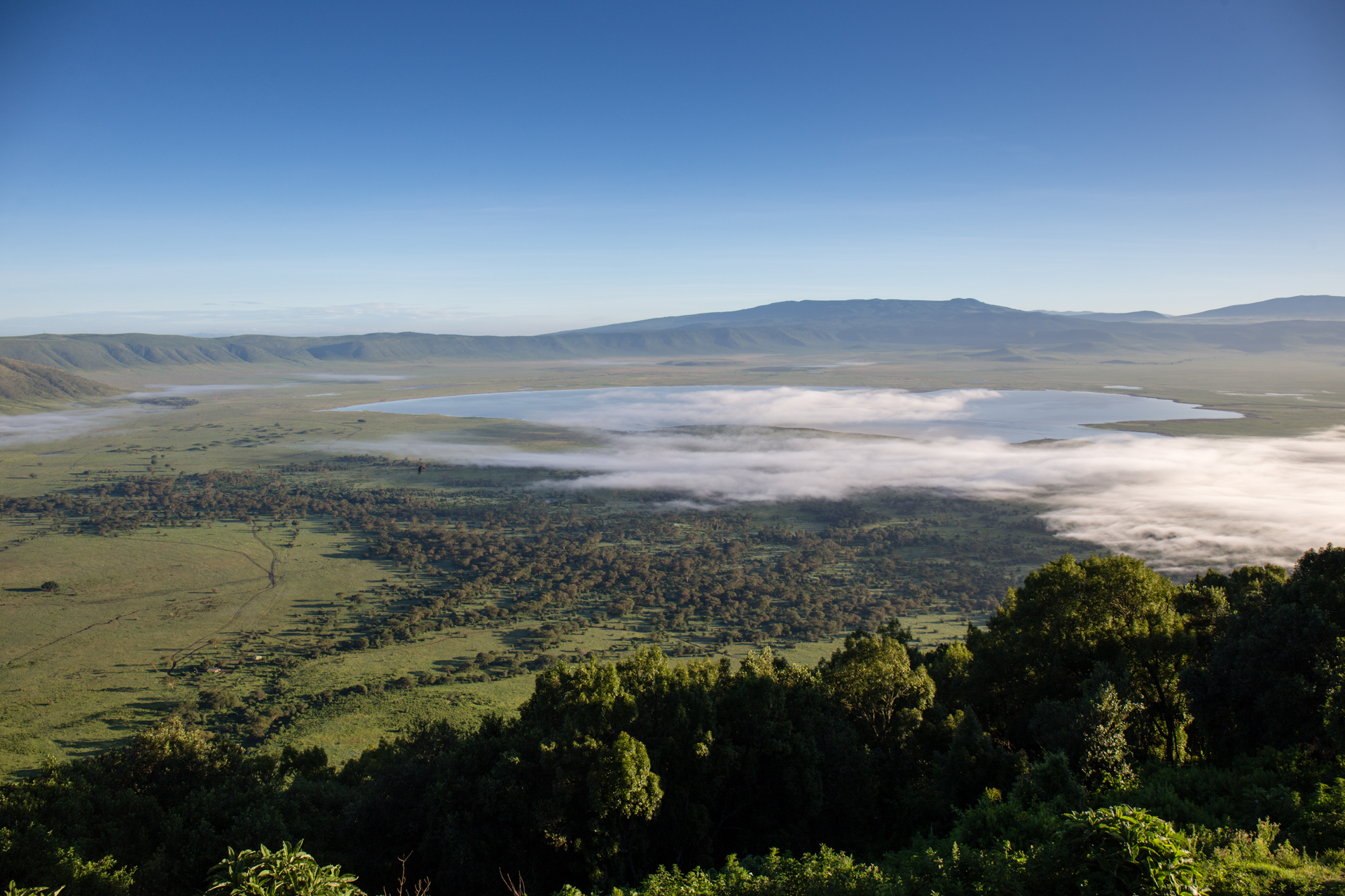 Safari_Caldeira du Ngorongoro_Tanzanie