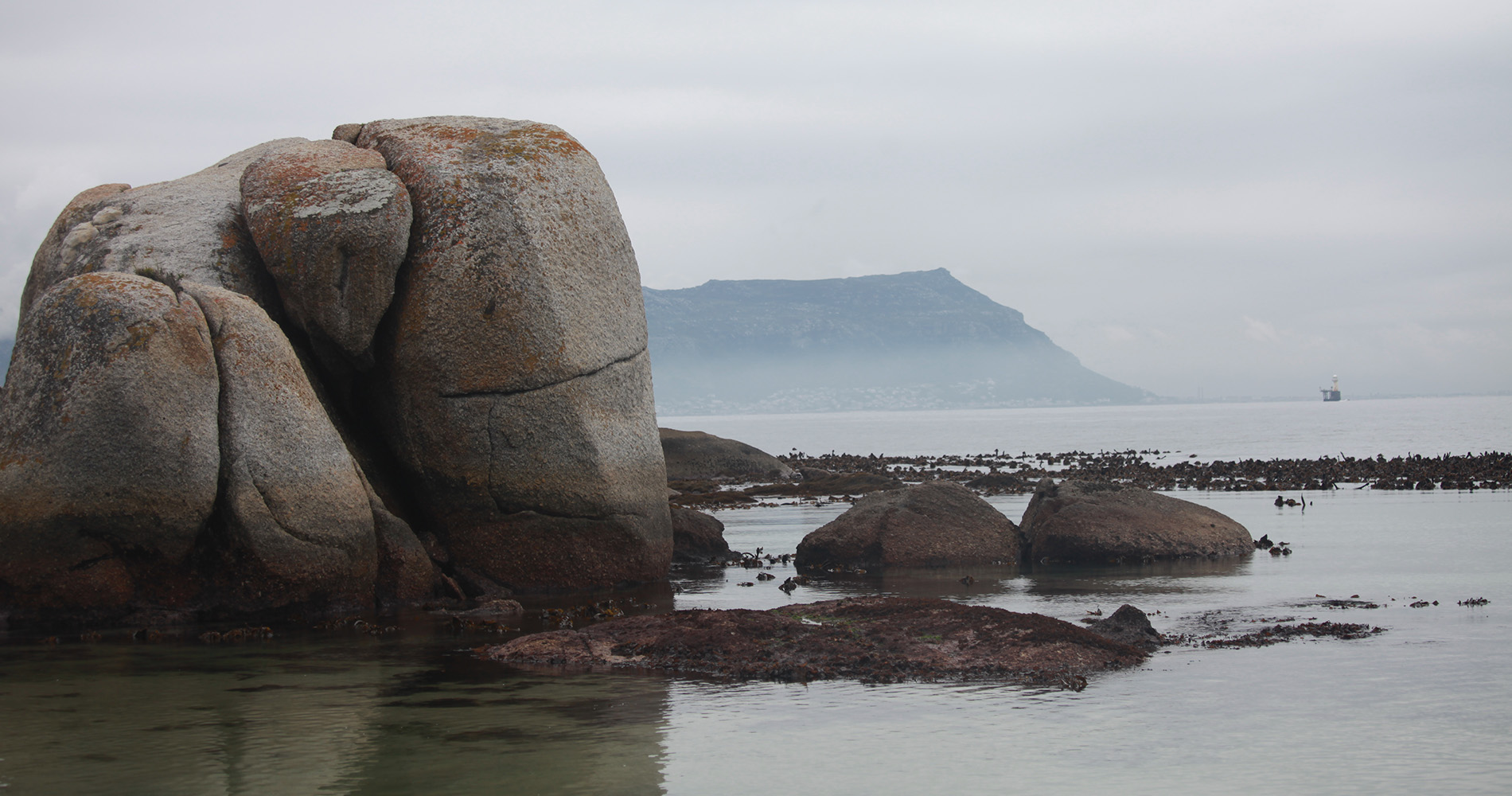 Boulders Beach sur la route de la Péninsule du Cap