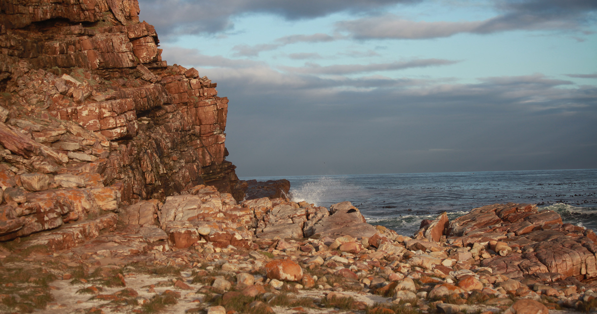 Paysage proche du Cap de Bonne Espérance 