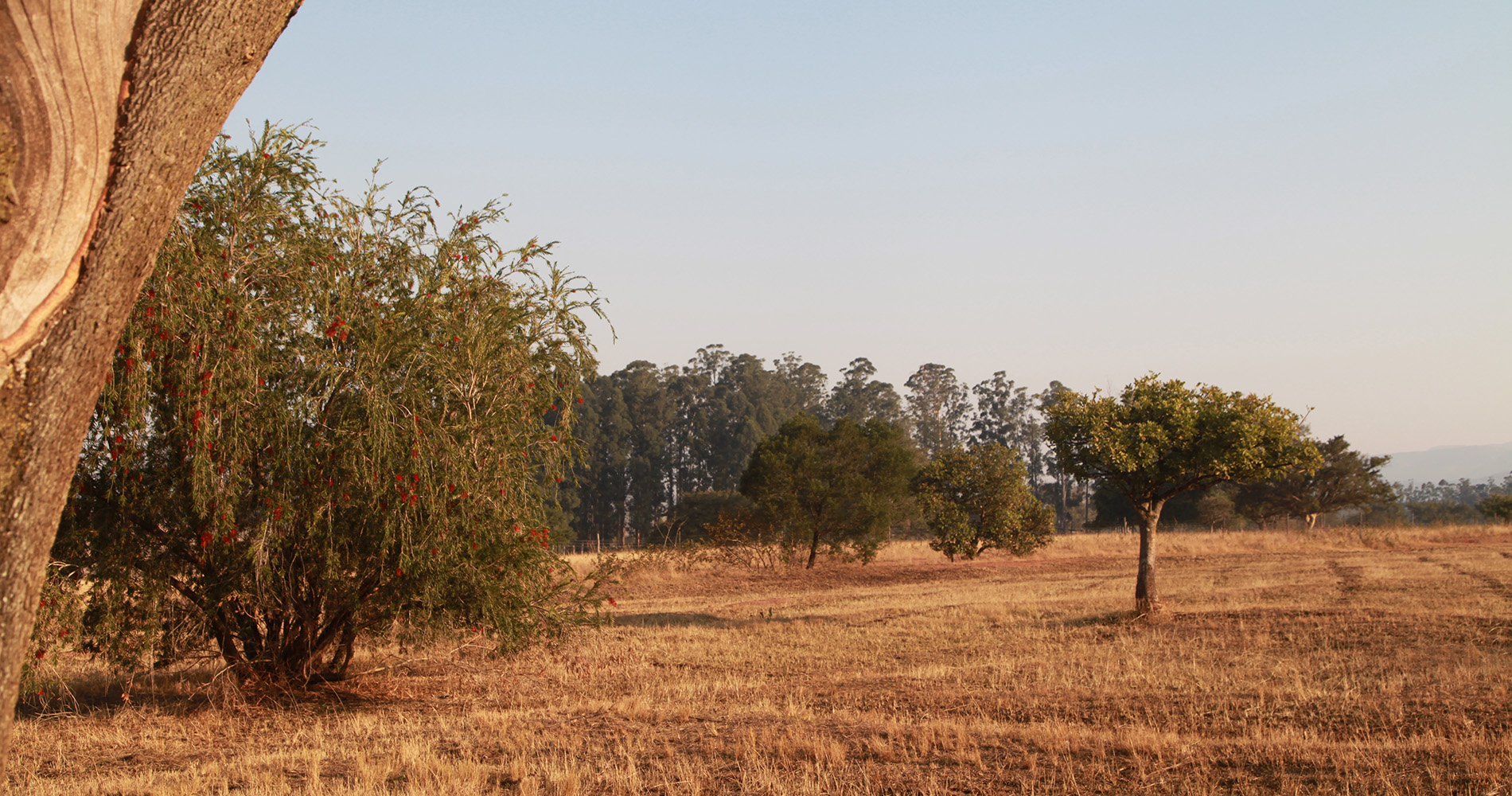 Sur la route entre le Kruger et le Eswatini