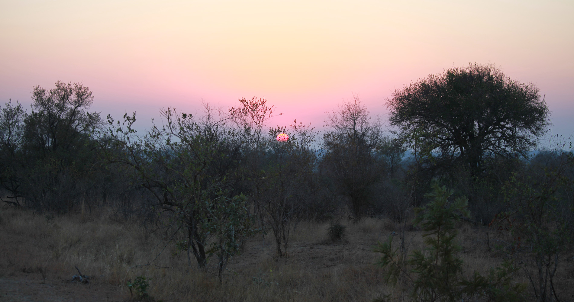 Lever de soleil au Kruger