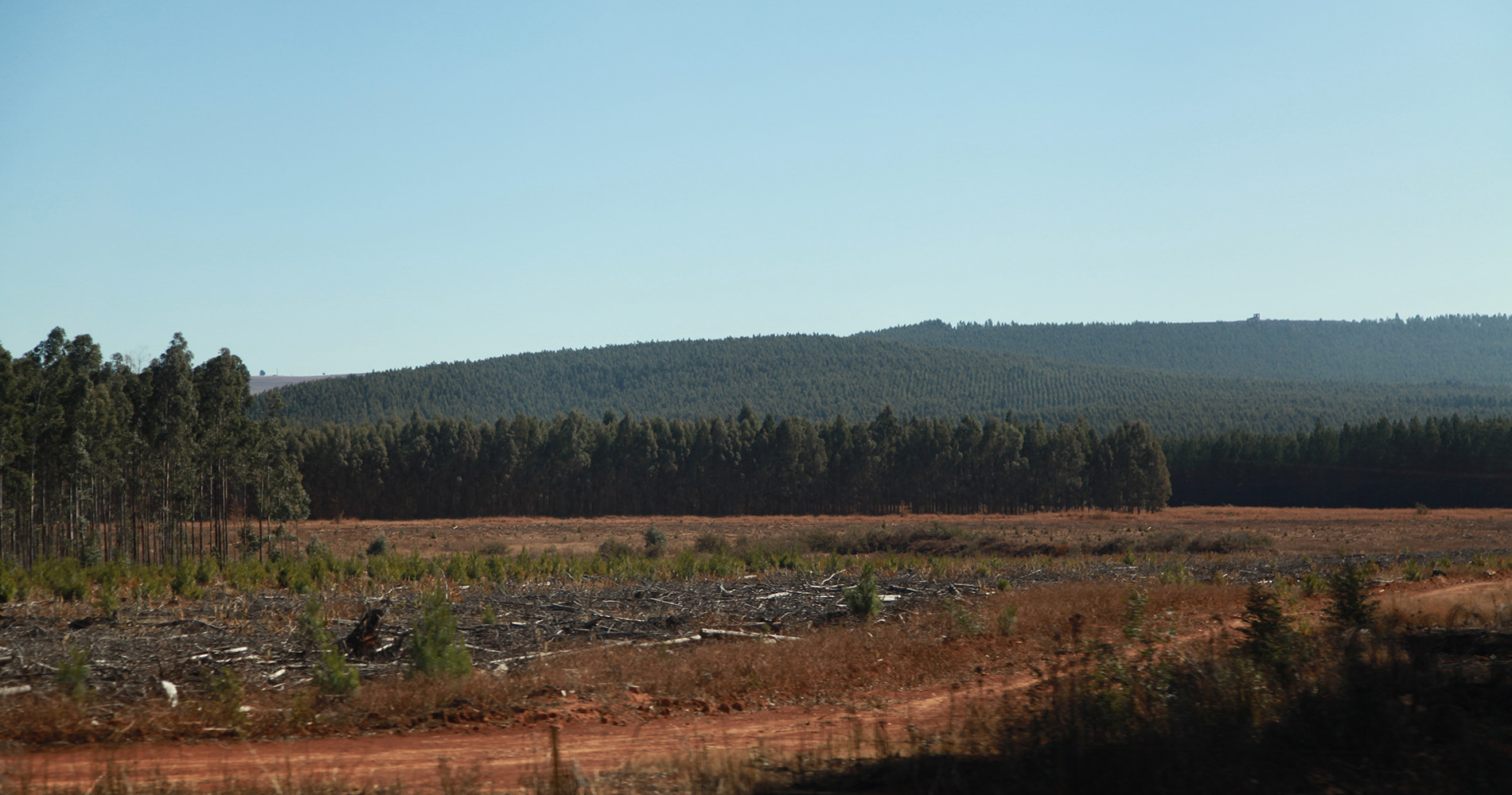 Sur la route entre Joburg et le Blyde