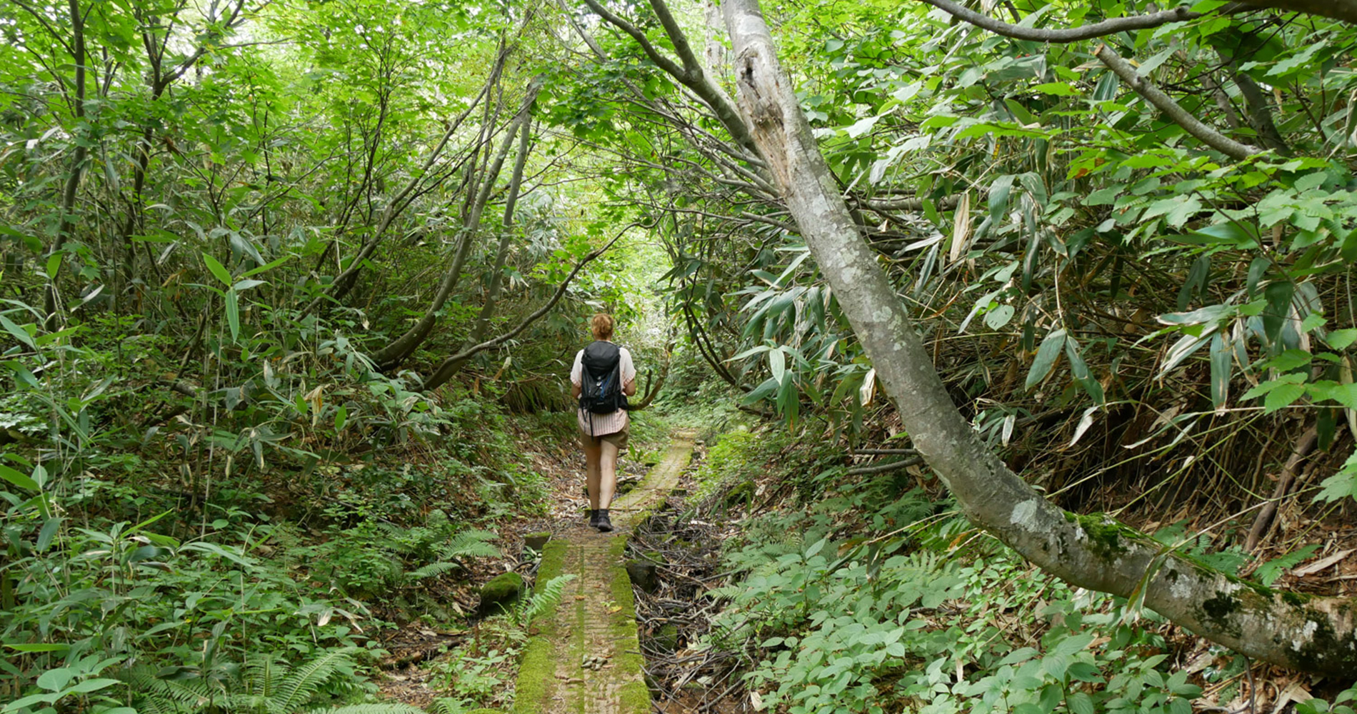 randonnée sur le volcan Akita – Yakeyama 