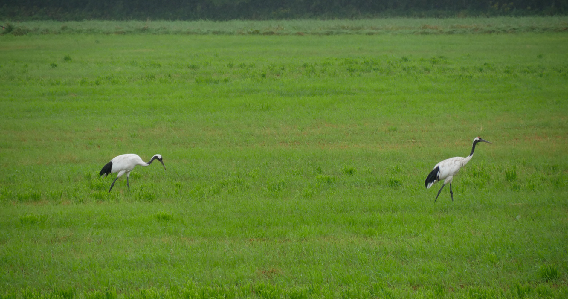 lac Akan dans le parc national Akan-Mashu