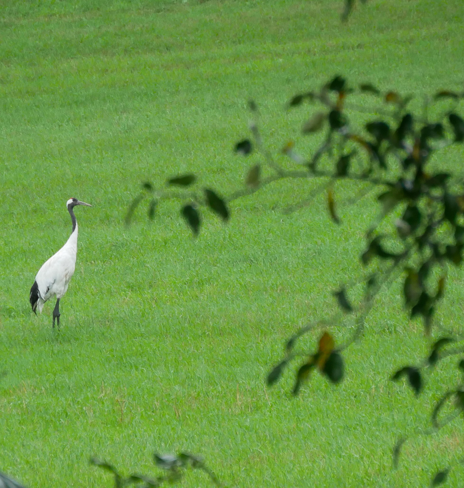 lac Akan dans le parc national Akan-Mashu