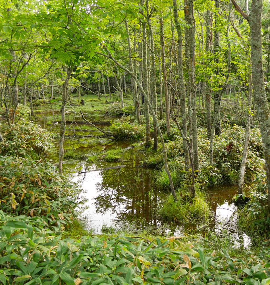 lac Akan dans le parc national Akan-Mashu