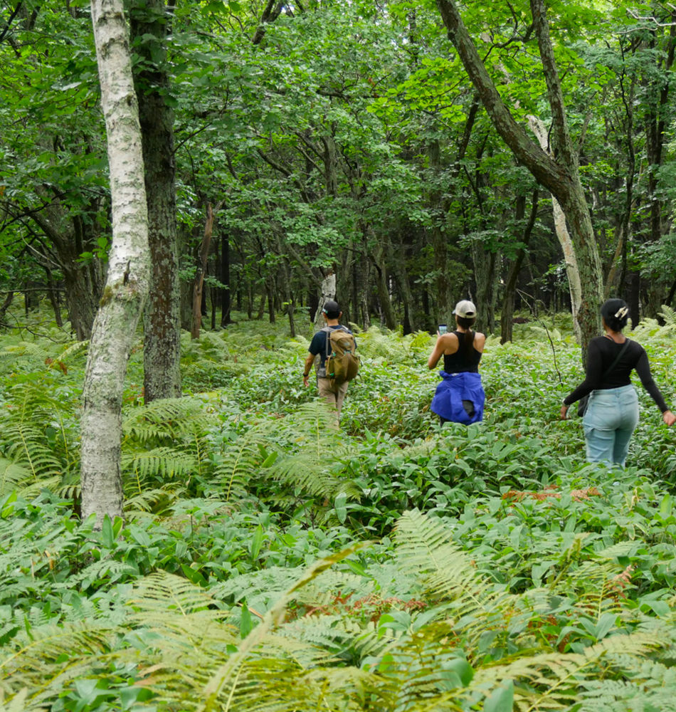 parc national Akan – Masha