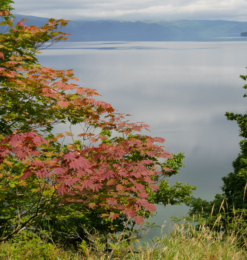 péninsule du lac Kussharo