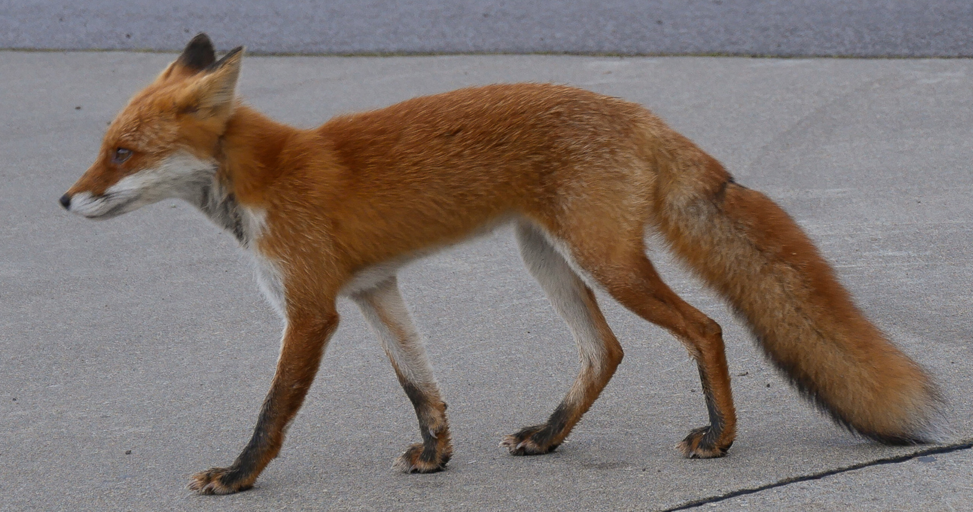 parc national de Shiretoko