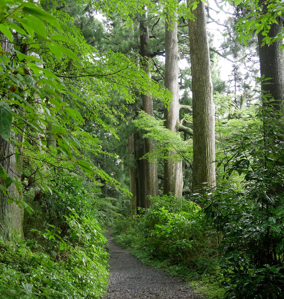 Hakone