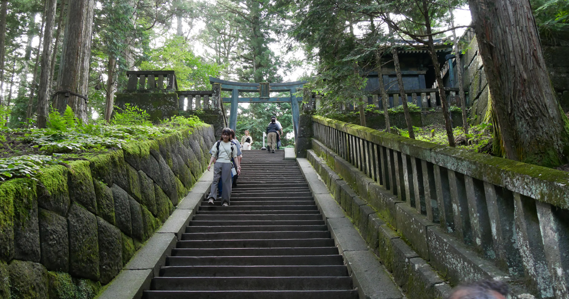 Nikko 