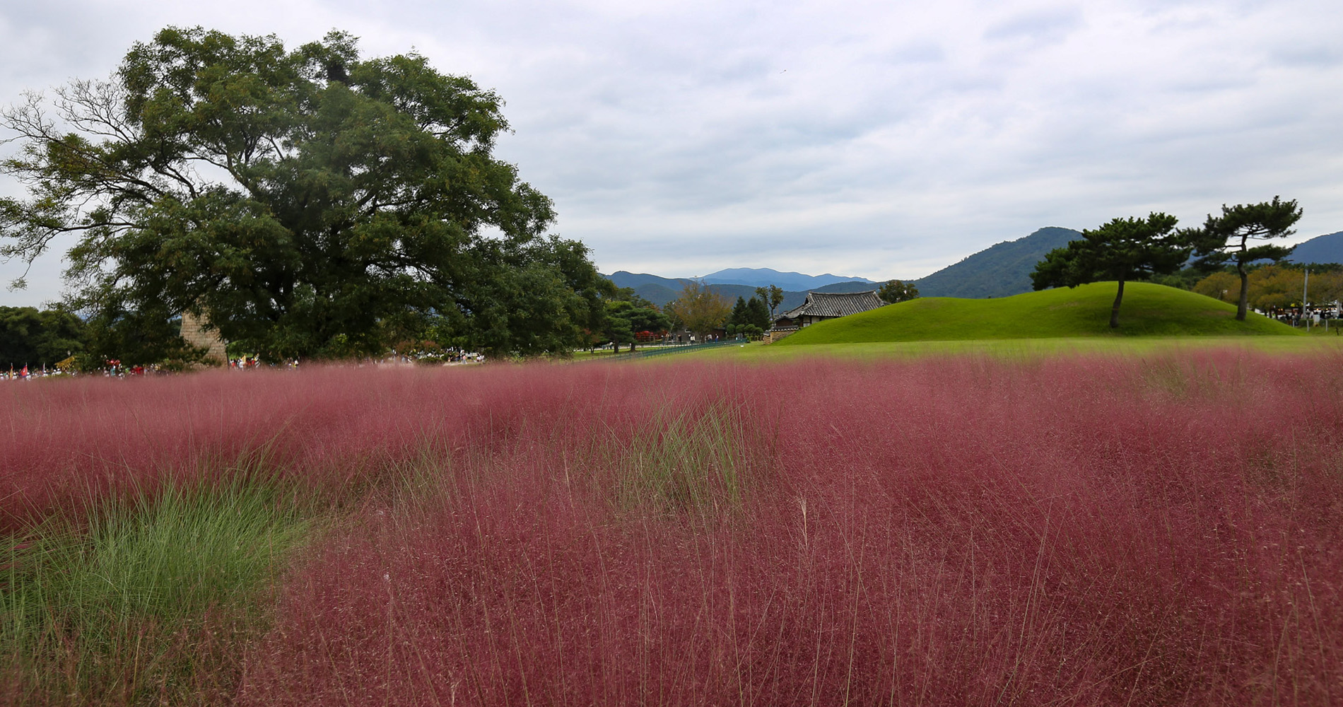 Parc de Gyeongju