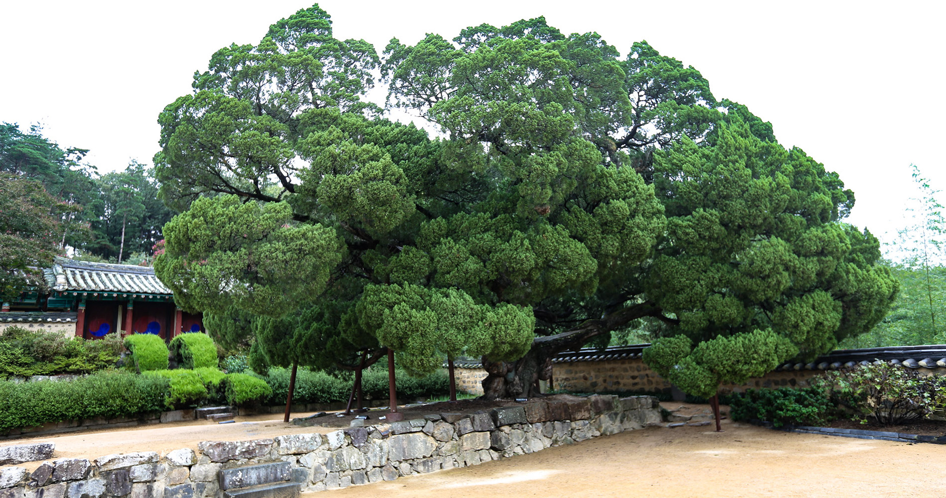 Seobaekdang House