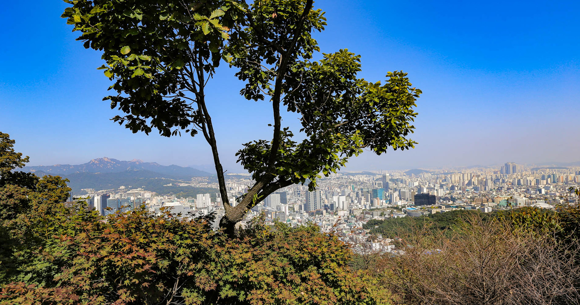 Vue depuis les terrasses de Namsan Tower