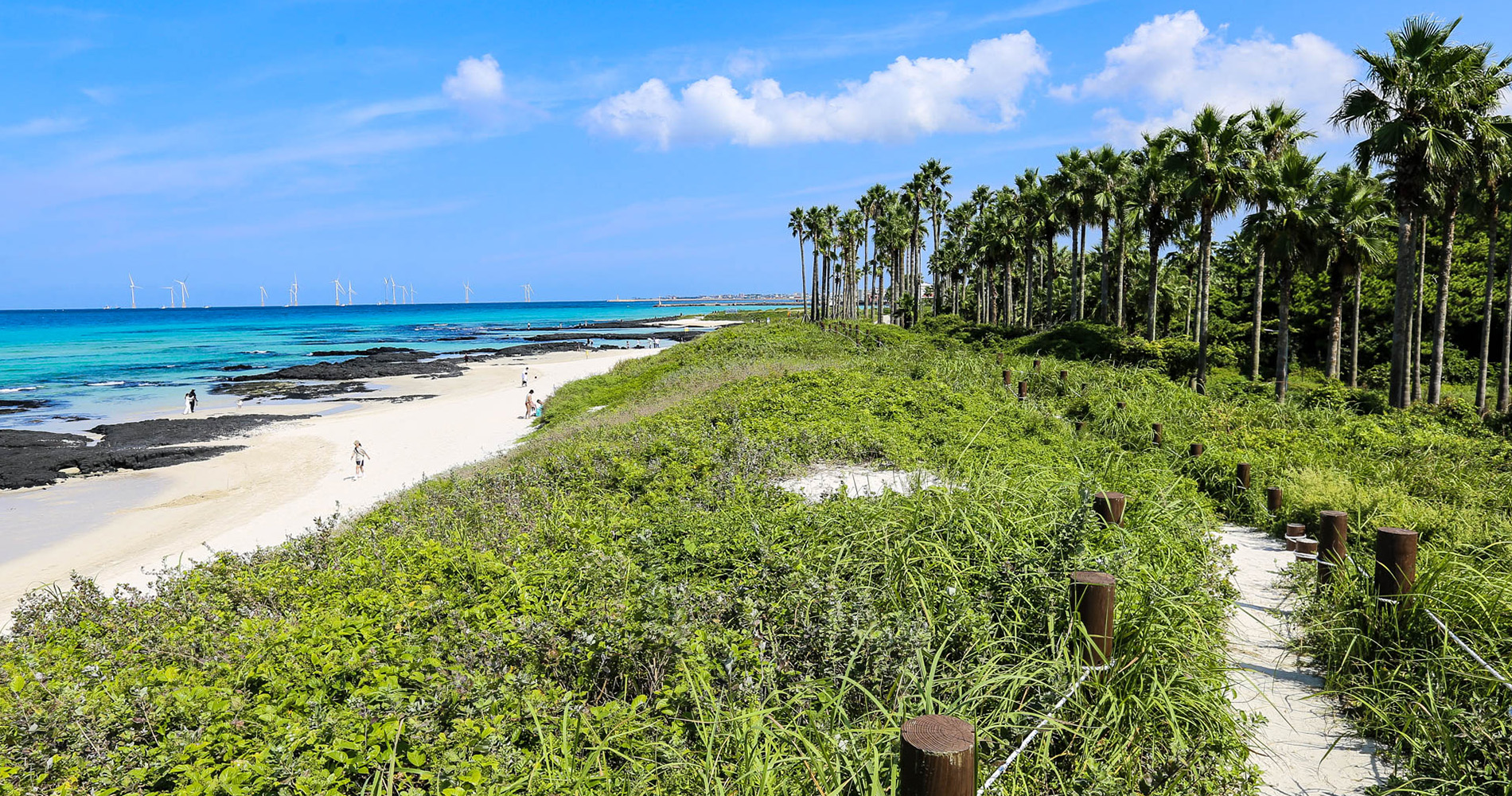 plage de Hyeopjae