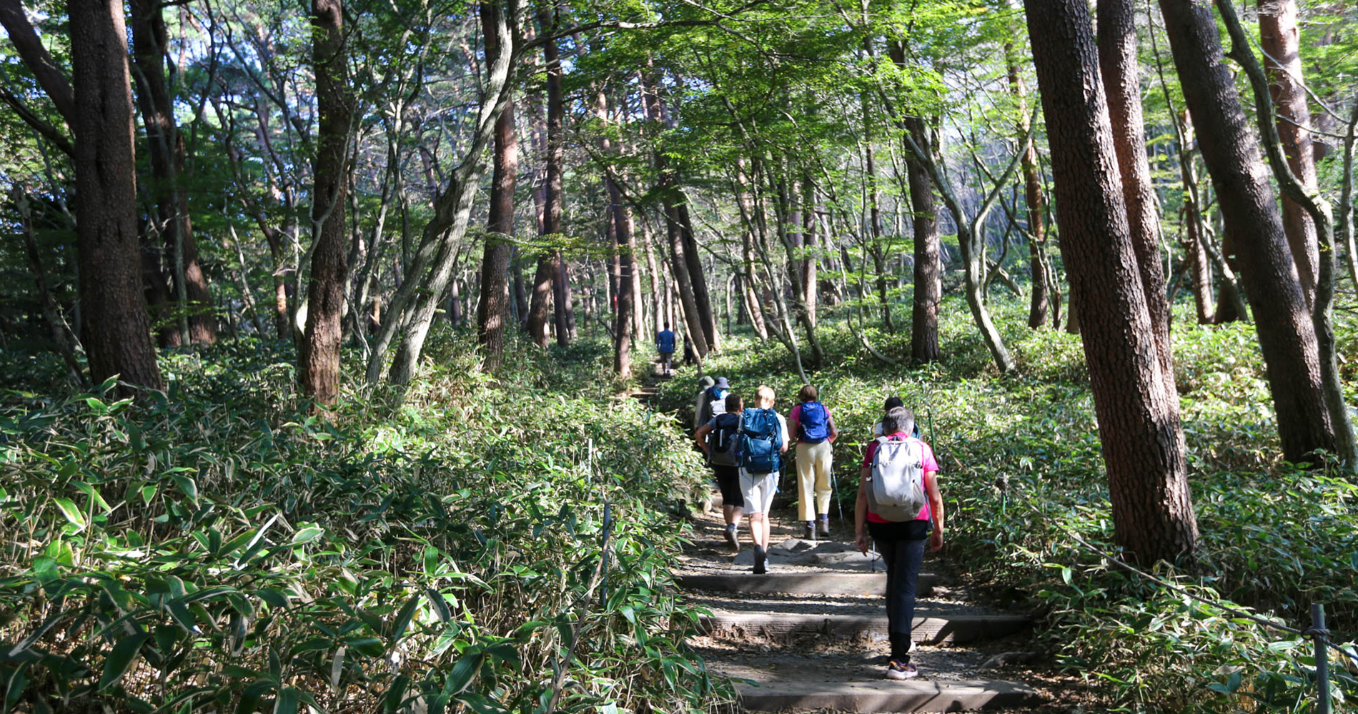 Départ du sentier