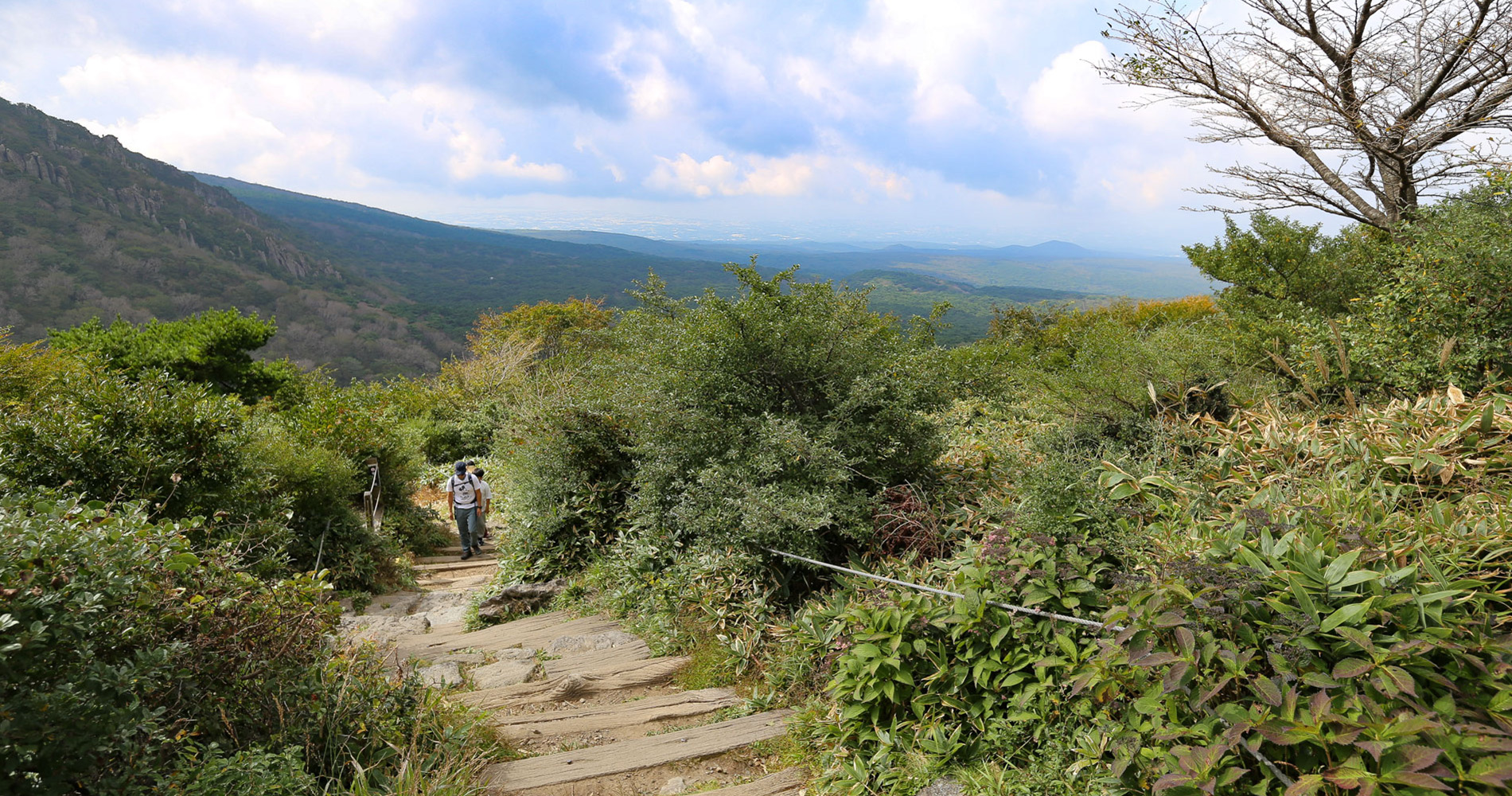 Sur le sentier Yeongsil