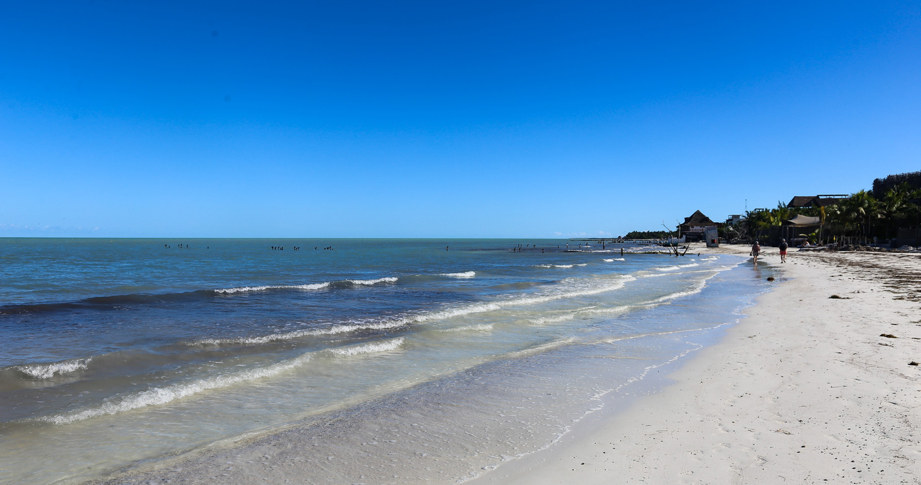 Plage Nord de Holbox